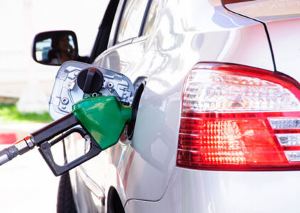 Everything’s Coming Together While Everything Falls Apart Image